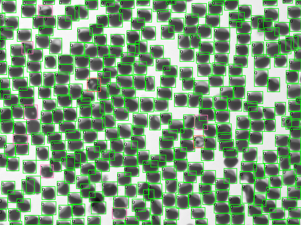 Per-cell classification with bounding boxes from the YOGO model